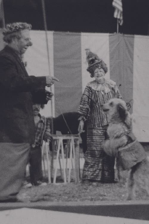 Poster for Circus