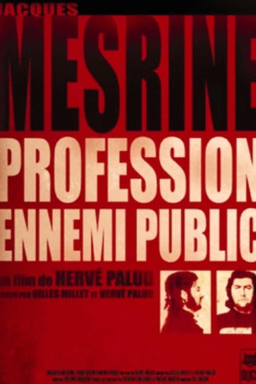 Poster for Jacques Mesrine: profession ennemi public