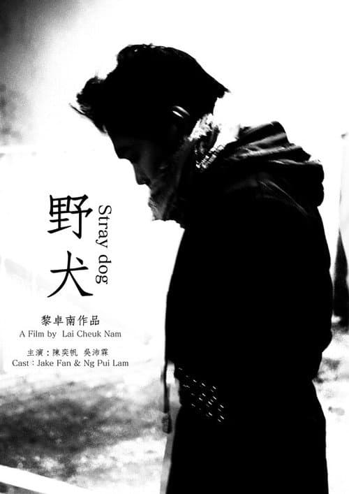 Poster for Stray dog