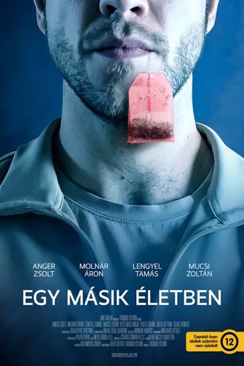 Poster for In Another Life