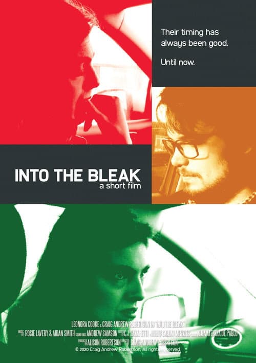 Poster for Into the Bleak