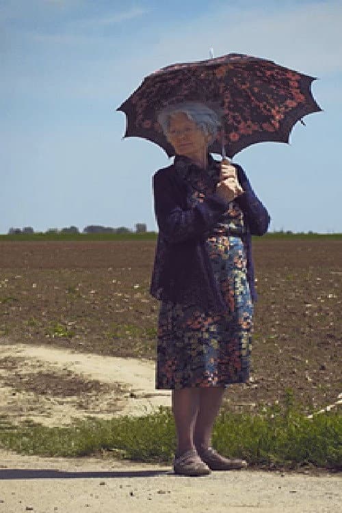 Poster for Granny Wants to Go Home