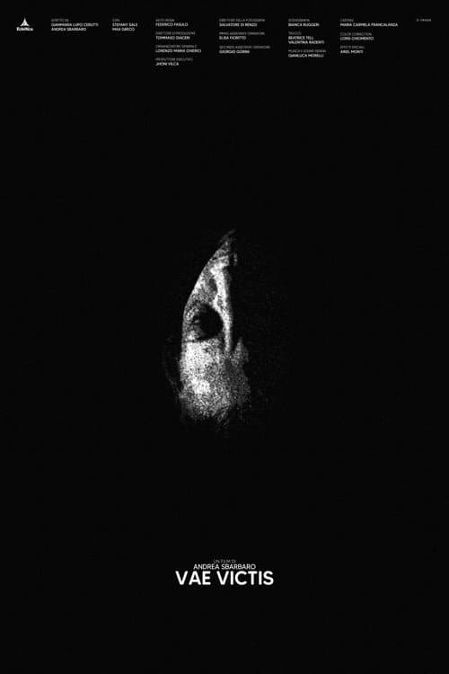 Poster for Vae Victis