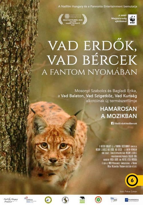 Постер до фільму «Wild forests, wild crags - In search of the phantom»