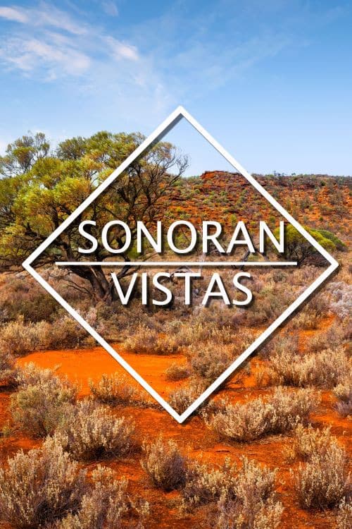 Poster for Sonoran Vistas