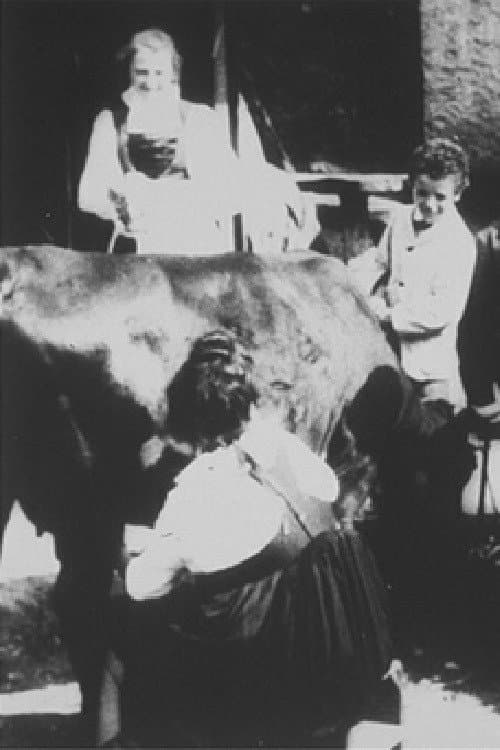Poster for Intérieur d'une vacherie