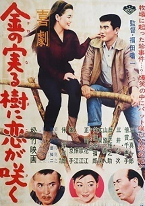 Poster for Kigeki: Kane no naru ki ni koi ga saku