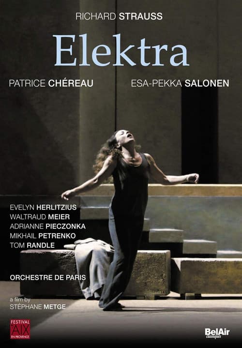 Poster for Elektra