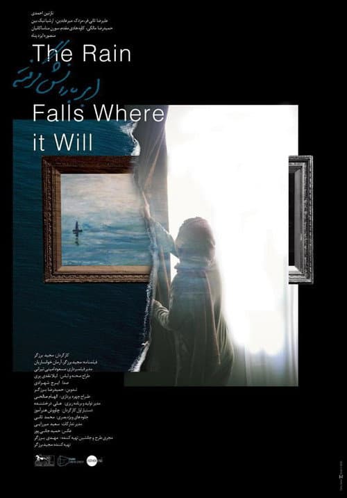 Poster for The Rain Falls Where it Will