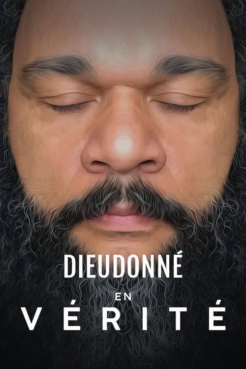 Poster for Dieudonné - En vérité