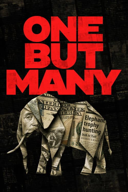 Poster for One But Many