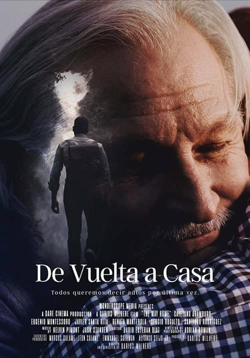 Poster for De vuelta a casa