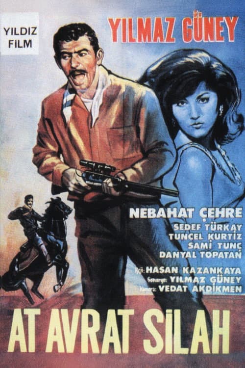 Poster for Horse, Woman and Gun