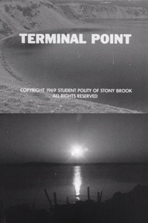 Poster for Terminal Point