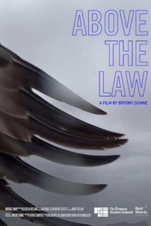 Poster for Above the Law