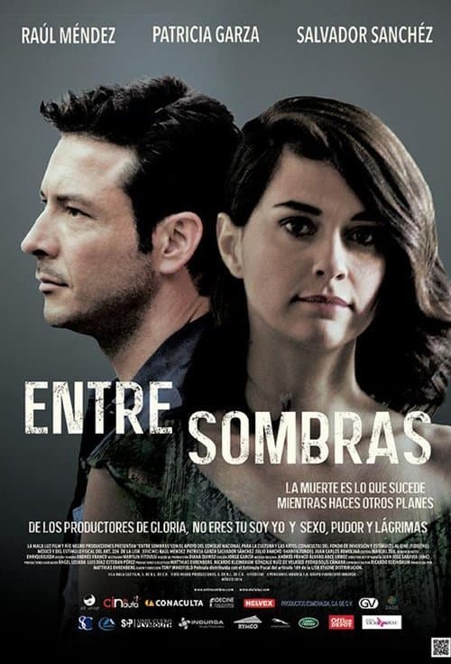 Poster for Between Shadows