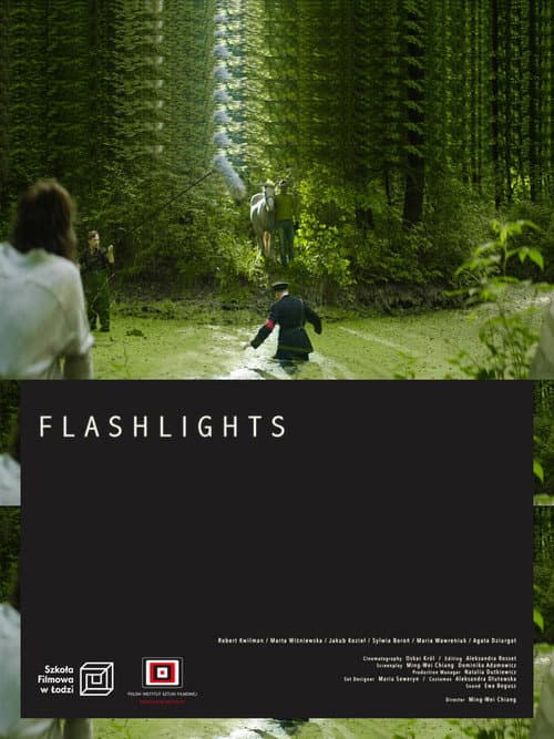 Poster for Flashlights
