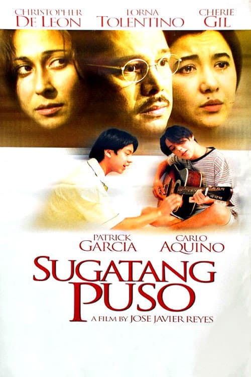 Poster for Wounded Heart