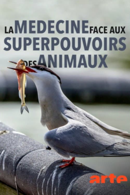Poster for Wild Medicine - The Superpowers of Animals