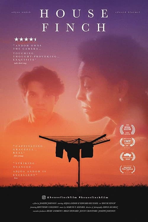 Poster for House Finch
