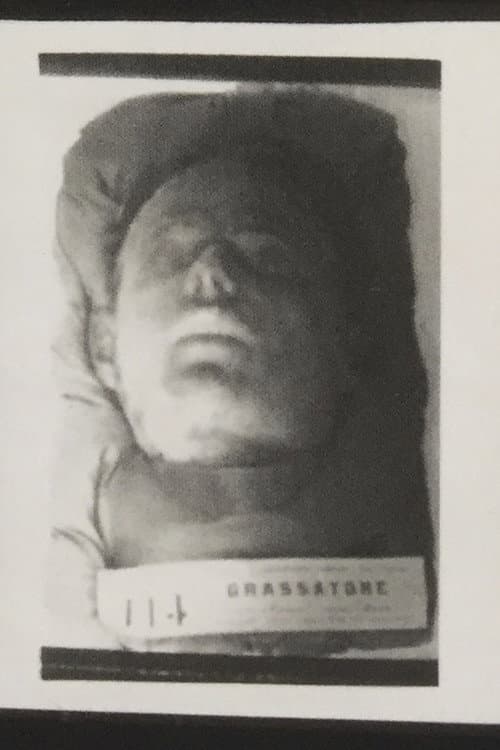 Poster for Cesare Lombroso - Sull'odore del garofano