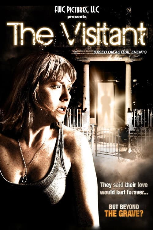 Poster for The Visitant