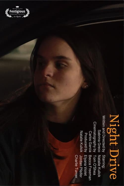 Poster for Night Drive