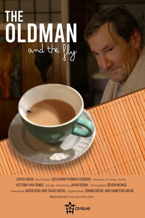 Poster for The Old Man and the Fly