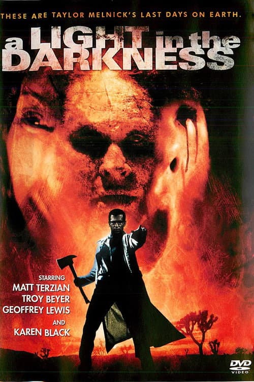 Poster for A Light in the Darkness