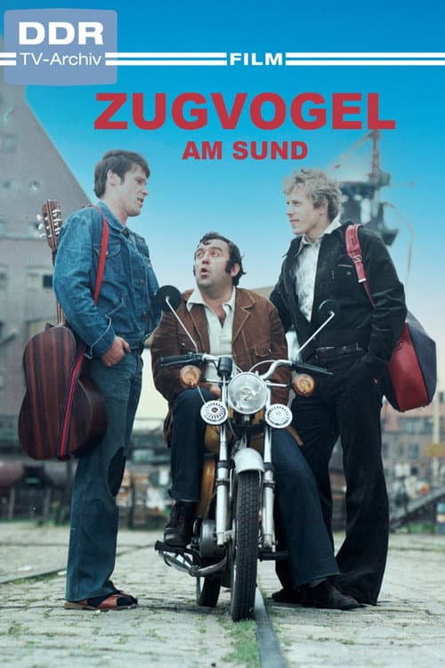 Poster for Zugvogel am Sund