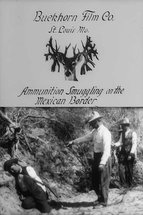 Poster for Ammunition Smuggling on the Mexican Border