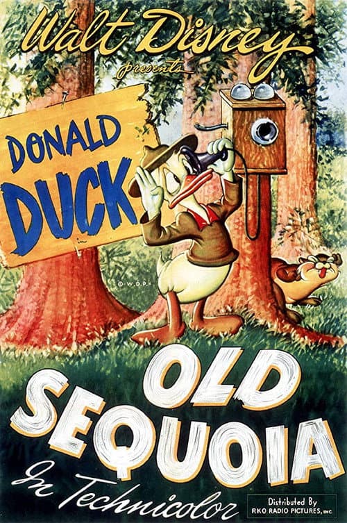 Poster for Old Sequoia