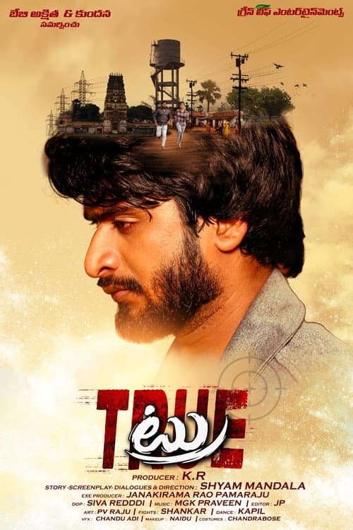 Poster for True
