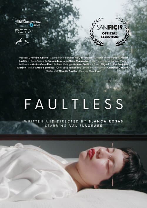 Poster for Faultless