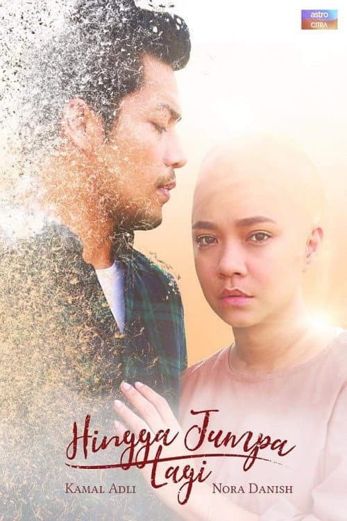 Poster for Hingga Jumpa Lagi