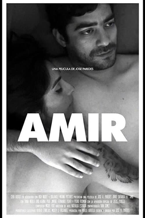 Poster for Amir