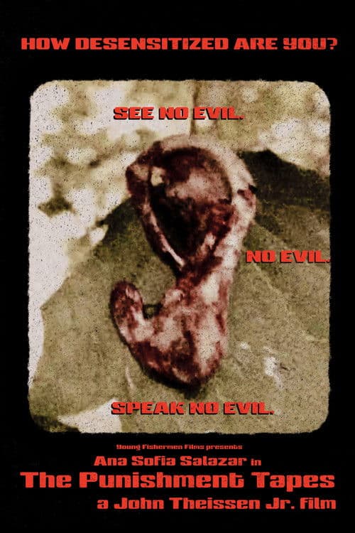 Poster for The Punishment Tapes