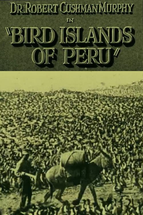 Poster for Bird Islands of Peru