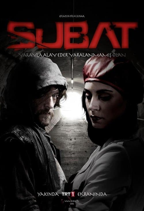 Poster for Şubat