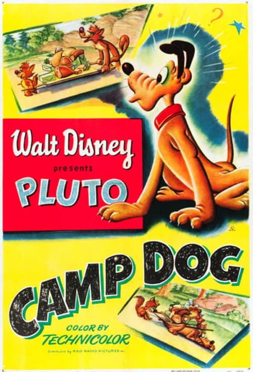 Poster for Camp Dog
