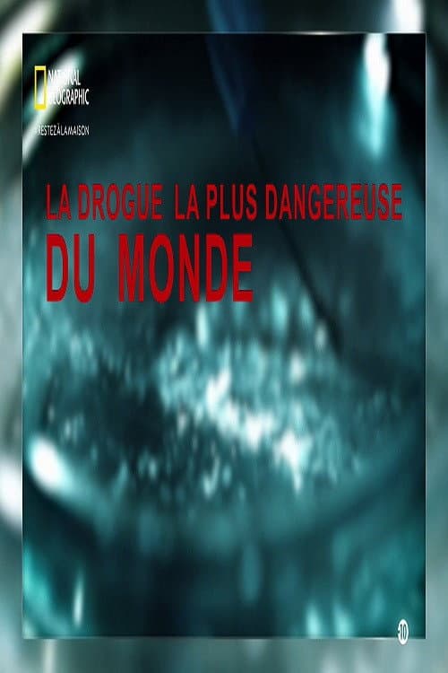 Poster for Worlds Most Dangerous Drug