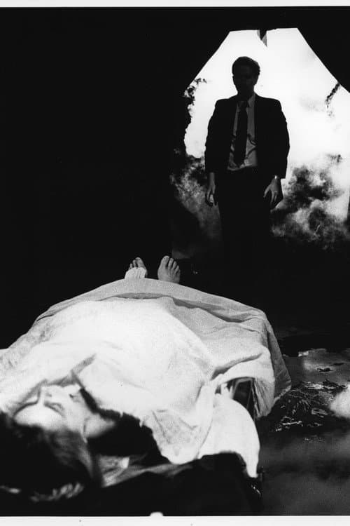 Poster for She's So Cold