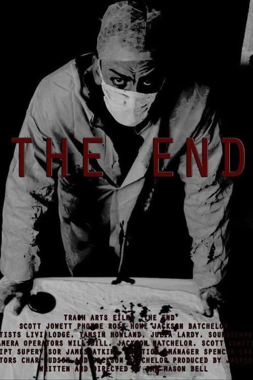 Poster for The End