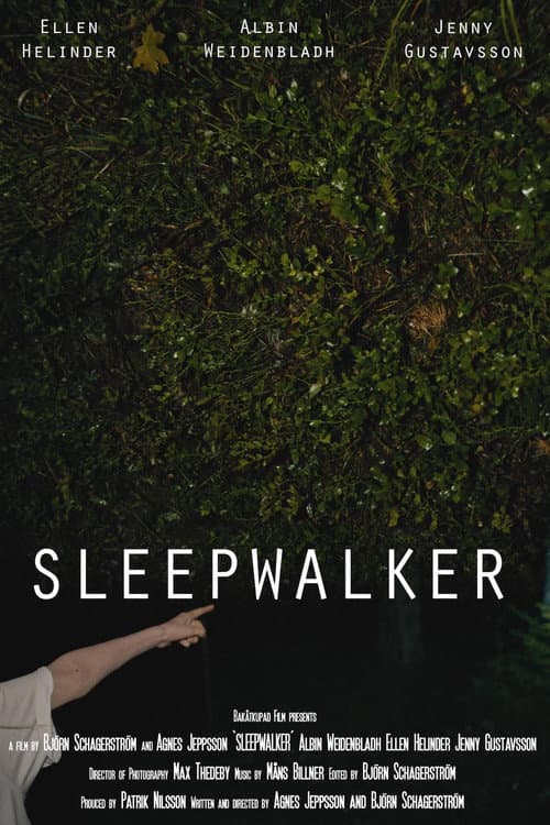 Poster for Sleepwalker