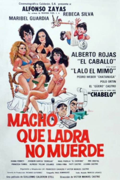 Poster for Macho Que Ladra No Muerde