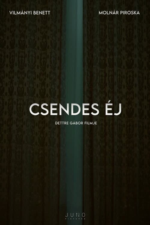 Poster for Csendes éj