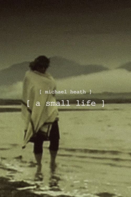 Poster for A Small Life