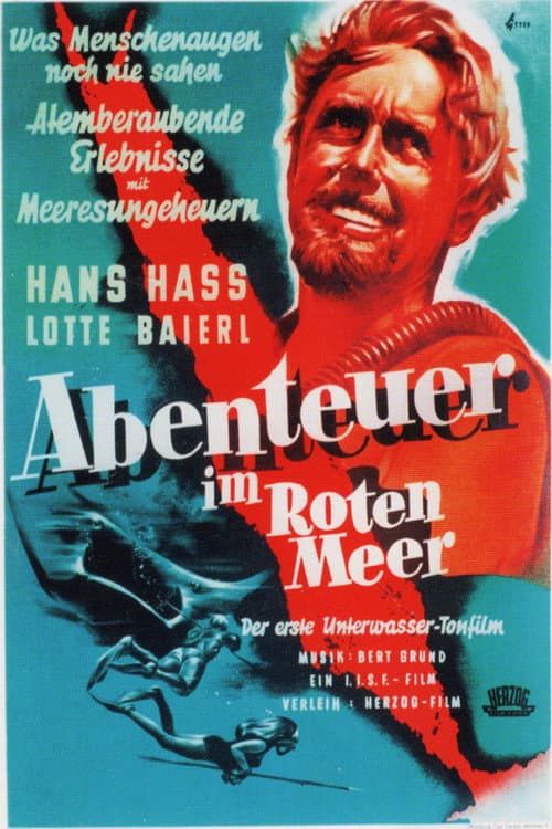 Poster for Diving in the Red Sea