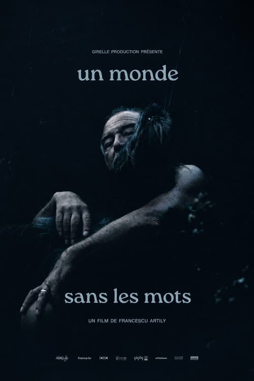 Poster for A World without Words