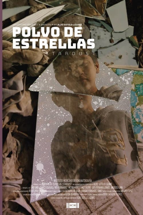Poster for Stardust